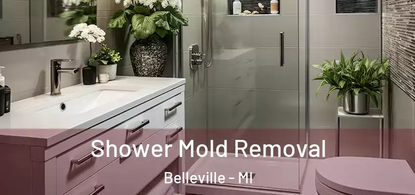  Shower Mold Removal Belleville - MI