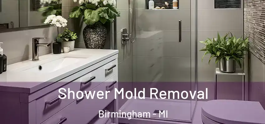  Shower Mold Removal Birmingham - MI