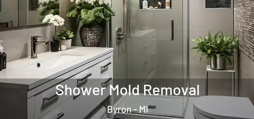  Shower Mold Removal Byron - MI
