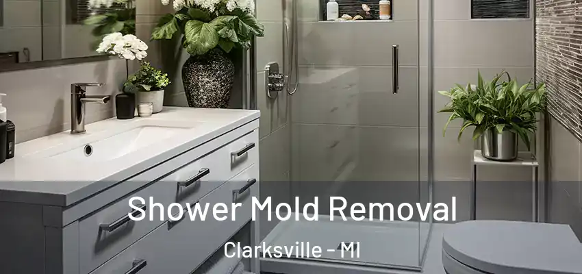  Shower Mold Removal Clarksville - MI