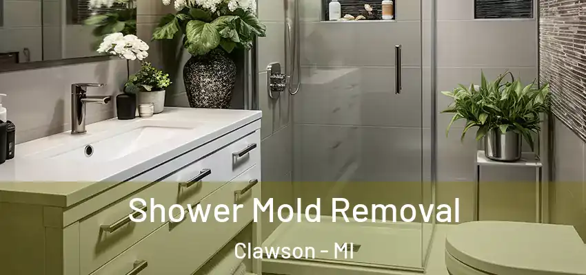  Shower Mold Removal Clawson - MI