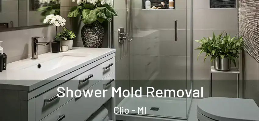  Shower Mold Removal Clio - MI