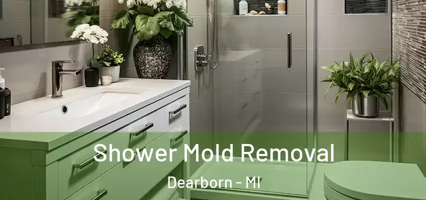  Shower Mold Removal Dearborn - MI