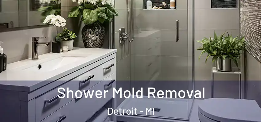  Shower Mold Removal Detroit - MI