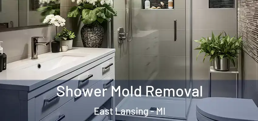 Shower Mold Removal East Lansing - MI