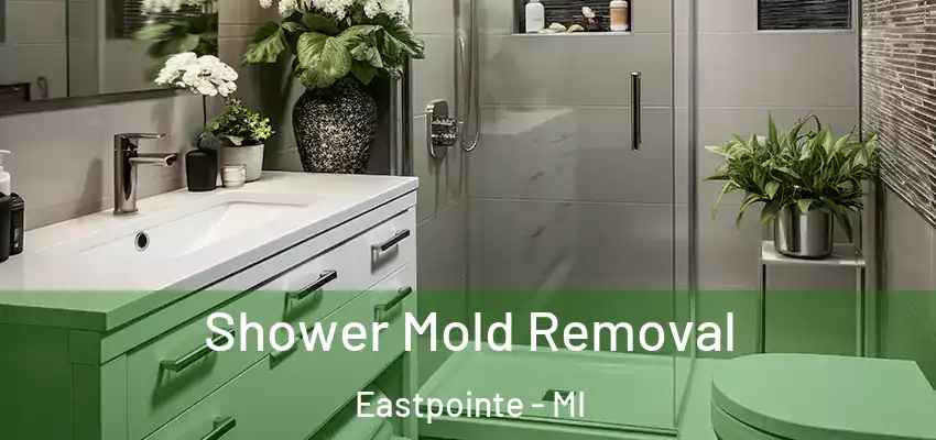 Shower Mold Removal Eastpointe - MI