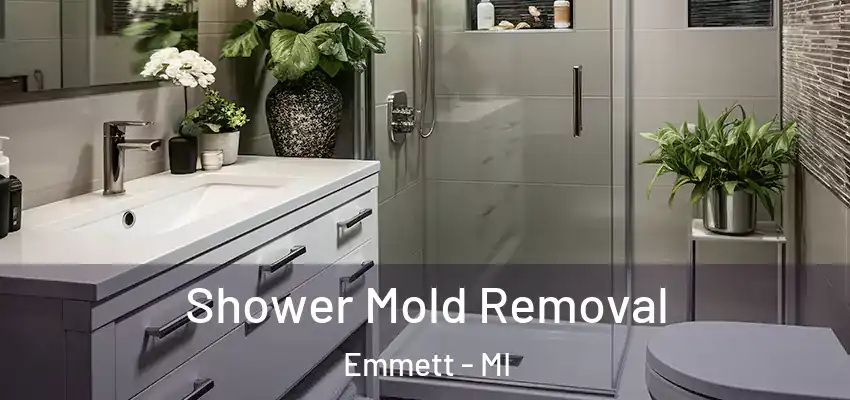 Shower Mold Removal Emmett - MI
