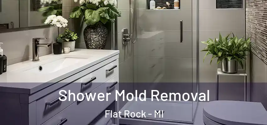  Shower Mold Removal Flat Rock - MI