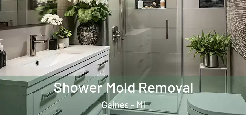  Shower Mold Removal Gaines - MI