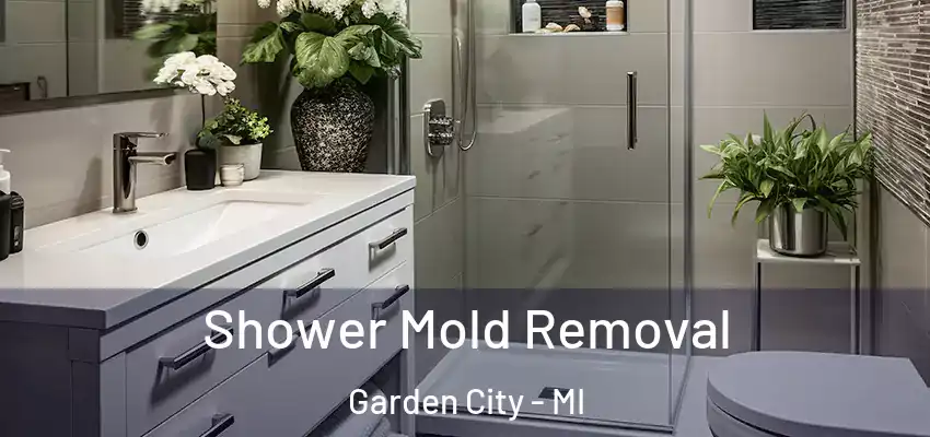 Shower Mold Removal Garden City - MI