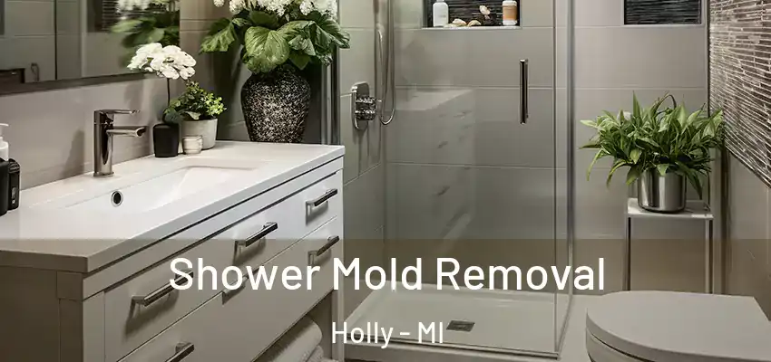  Shower Mold Removal Holly - MI