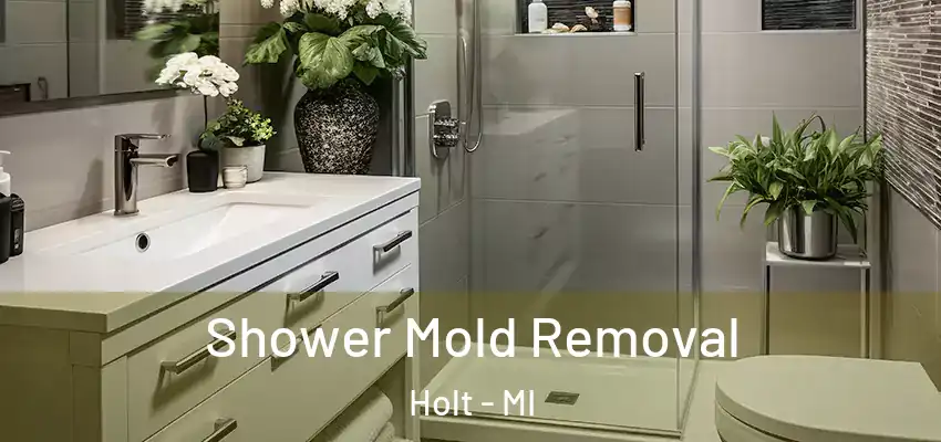 Shower Mold Removal Holt - MI