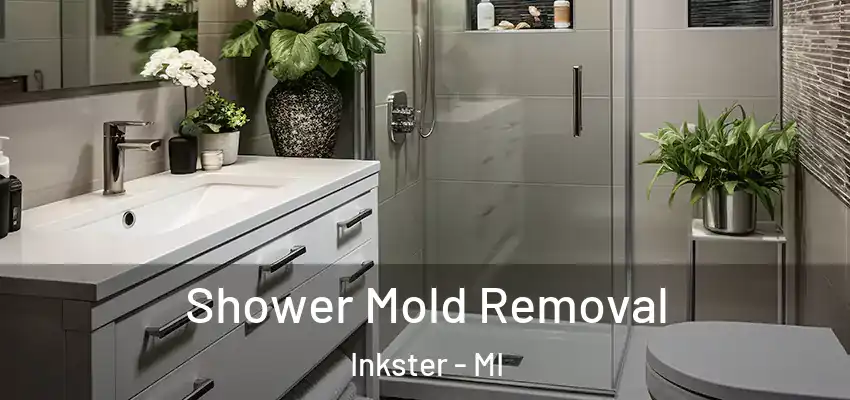  Shower Mold Removal Inkster - MI