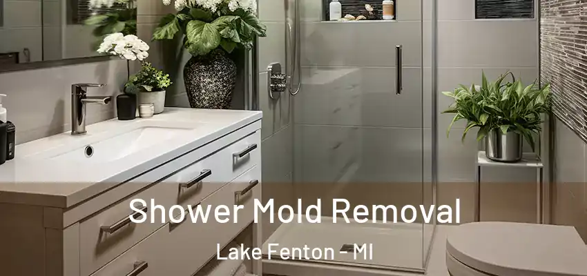  Shower Mold Removal Lake Fenton - MI