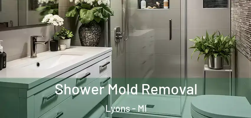 Shower Mold Removal Lyons - MI