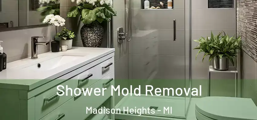  Shower Mold Removal Madison Heights - MI