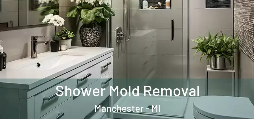  Shower Mold Removal Manchester - MI