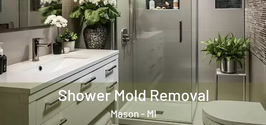  Shower Mold Removal Mason - MI