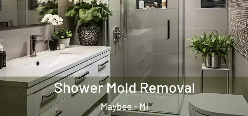 Shower Mold Removal Maybee - MI