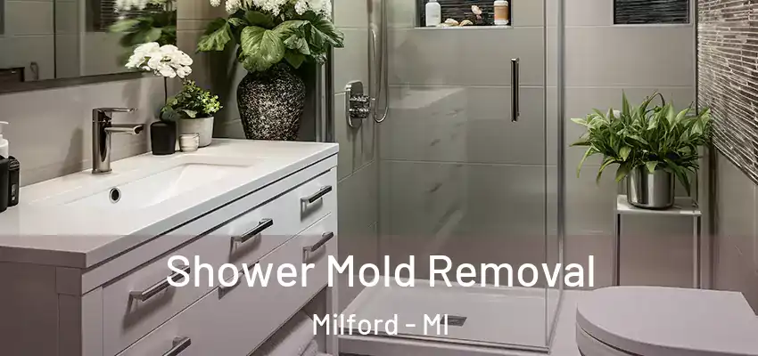 Shower Mold Removal Milford - MI