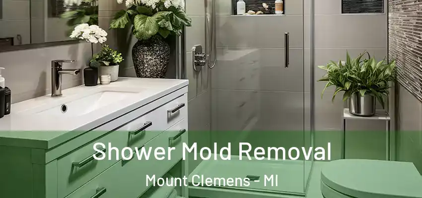  Shower Mold Removal Mount Clemens - MI