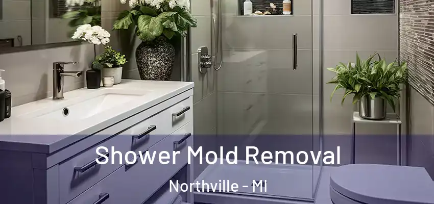 Shower Mold Removal Northville - MI