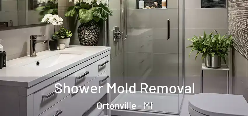 Shower Mold Removal Ortonville - MI