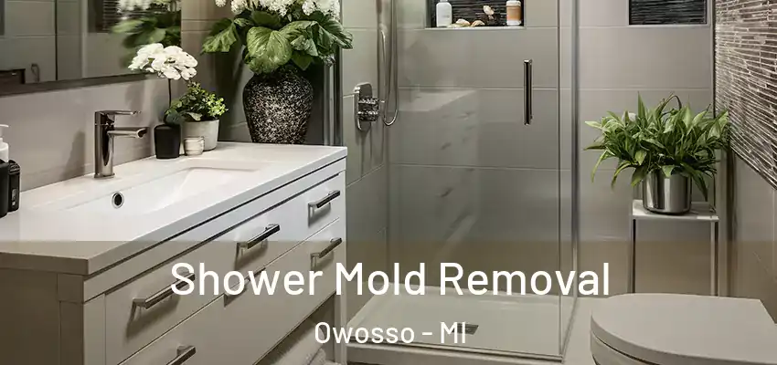  Shower Mold Removal Owosso - MI