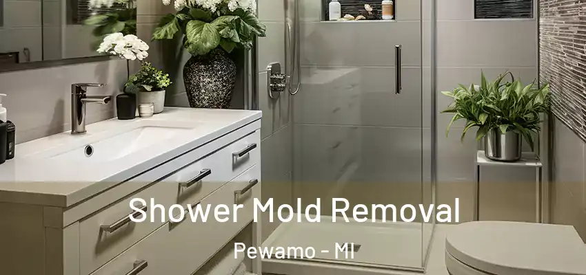  Shower Mold Removal Pewamo - MI