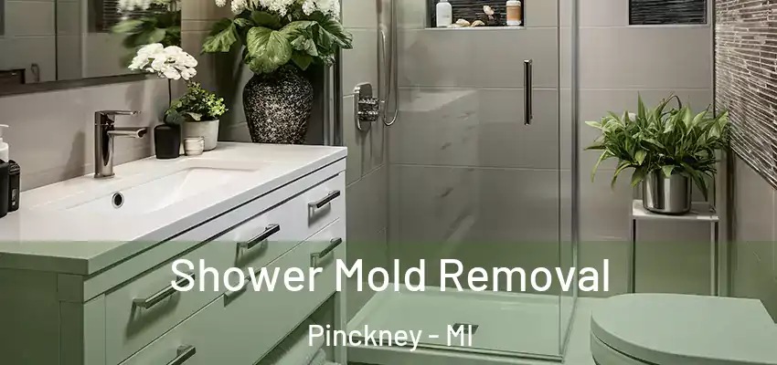  Shower Mold Removal Pinckney - MI