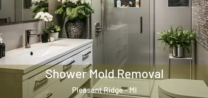  Shower Mold Removal Pleasant Ridge - MI