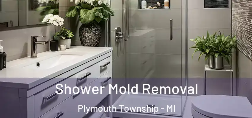 Shower Mold Removal Plymouth Township - MI