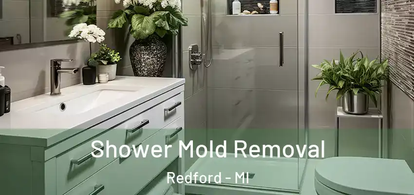  Shower Mold Removal Redford - MI