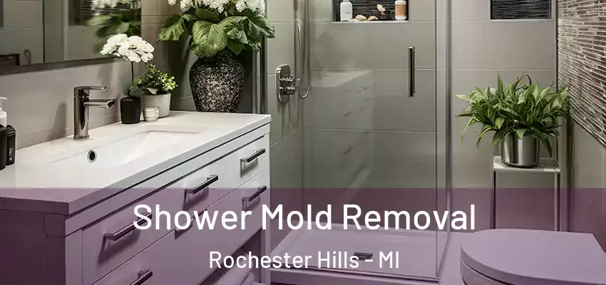  Shower Mold Removal Rochester Hills - MI