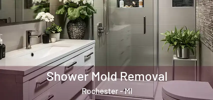  Shower Mold Removal Rochester - MI