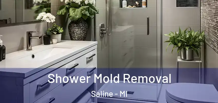 Shower Mold Removal Saline - MI