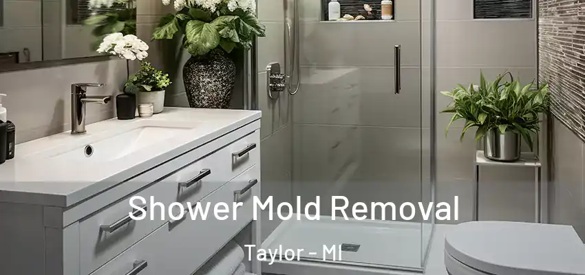  Shower Mold Removal Taylor - MI
