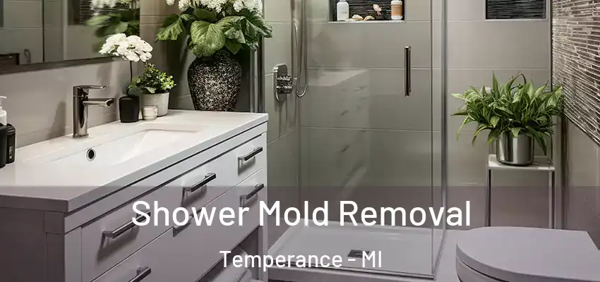 Shower Mold Removal Temperance - MI