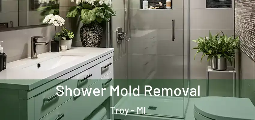  Shower Mold Removal Troy - MI