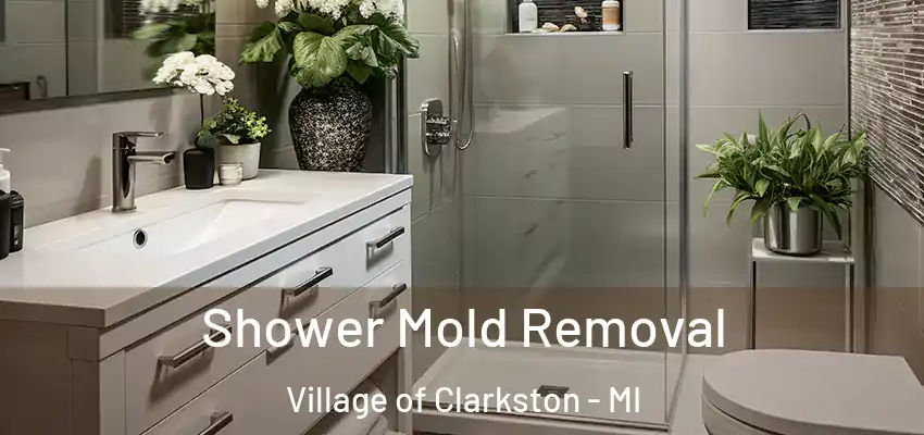  Shower Mold Removal Village of Clarkston - MI