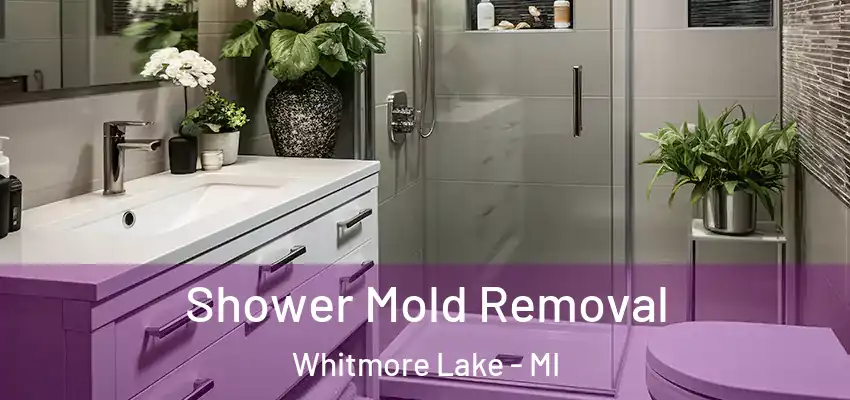  Shower Mold Removal Whitmore Lake - MI